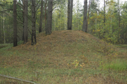 Round Barrows: Bronze Age Wales&rsquo; Treasures of the Beaker People