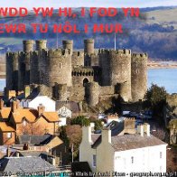 Hawdd yw hi, i fod yn ddewr o tu n&ocirc;l i mur.