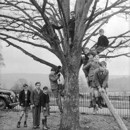 dod_ yn_ &ocirc;l_ at_ fy_ nghoed.jpg