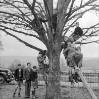 Dwi wedi dod yn &ocirc;l at fy nghoed.