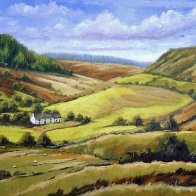 cambrian-mountains-painting-dolgoch.jpg