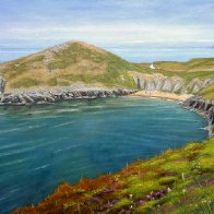 Mwnt, Summer Flowers