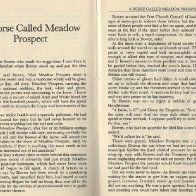 A Horse Called Meadow Prospect