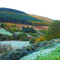 FROSTY CWMPARC