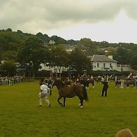 Gwyl Merlod A Chobiau Cymreig 2009