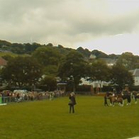 Gwyl Merlod A Chobiau Cymreig 2009