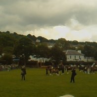 Gwyl Merlod A Chobiau Cymreig 2009