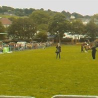 Gwyl Merlod A Chobiau Cymreig 2009