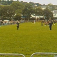 Gwyl Merlod A Chobiau Cymreig 2009