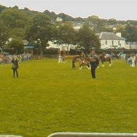 Gwyl Merlod A Chobiau Cymreig 2009