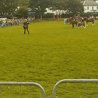 Gwyl Merlod A Chobiau Cymreig 2009