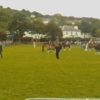 Gwyl Merlod A Chobiau Cymreig 2009