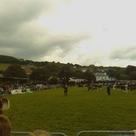 Gwyl Merlod A Chobiau Cymreig 2009