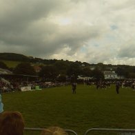 Gwyl Merlod A Chobiau Cymreig 2009