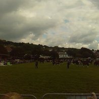 Gwyl Merlod A Chobiau Cymreig 2009