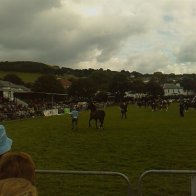 Gwyl Merlod A Chobiau Cymreig 2009