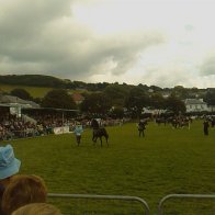 Gwyl Merlod A Chobiau Cymreig 2009