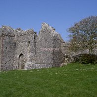 Weobely castle Gower