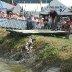 Gun Dogs