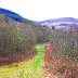 Footpath beside Nant Dar
