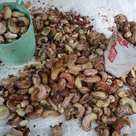 Inhambane Mo&ccedil;ambique