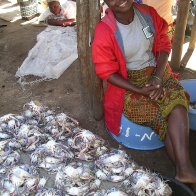 Maxixe Mo&ccedil;ambique