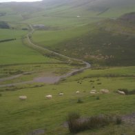 Defaid yn yr golygfa ar ffordd i Rhaeadr Gwy