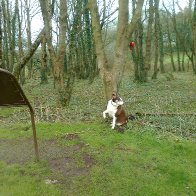 My dog was so happy to see me when i came back