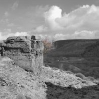 2393_54837403350_6677822_n