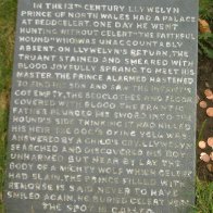 577744_402460236438742_847171024_n[1]