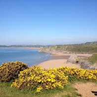 945428_657233270959889_551816309_n[1]