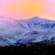 OakfieldPhotography33867