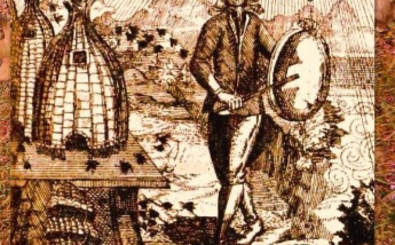 ｓnowglobe Of A Dustbowl