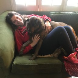 californian-dog-puck-learns-welsh-language-nationcymru