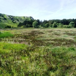 national-trust-cymru-maps-out-climate-threat-to-coast-countryside-and-historic-places