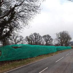 concerns-raised-over-hedgerow-netting-that-stops-birds-nesting-nationcymru
