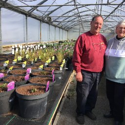 garden-centres-ready-to-spring-into-action-as-lockdown-lifts