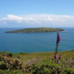 bear-grylls-launches-planning-application-for-bilingual-signs-on-private-island-nationcymru