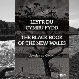 review-llyfr-du-cymru-fydd-briskly-explores-what-an-independent-wales-could-look-like