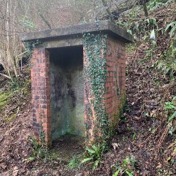 watch-how-a-rescue-led-to-the-discovery-of-a-quarry-and-its-ruins