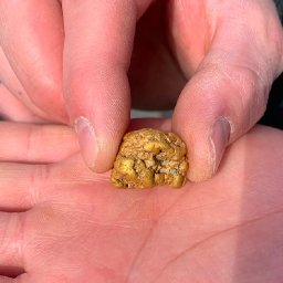 huge-auction-selling-wales-biggest-20000-gold-nugget