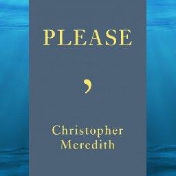 review-please-is-full-of-delightful-ruminations-about-language-and-etymology