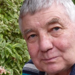 lib-dem-senedd-candidate-backs-welsh-independence