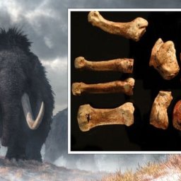 archaeologists-prove-victorian-icon-wrong-about-everything-by-redating-welsh-remains