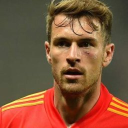 brilliant-brave-frustrated-ramsey-wales-great-enigma