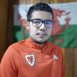 meet-the-costa-rican-who-created-the-hispanic-wall-because-he-loves-wales