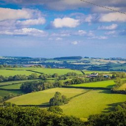 welsh-language-concern-as-companies-buy-farms-for-tree-planting-to-offset-carbon-emissions