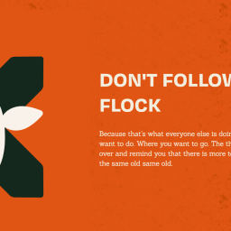 bath-based-design-firm-creates-deadpan-sheep-logo-for-snowdonia-tour-group