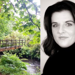 new-indie-publisher-to-use-books-sales-to-help-restore-a-welsh-woodland