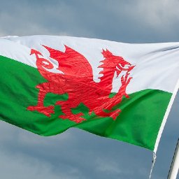 petition-demanding-depictions-of-dragons-have-a-penis-to-be-considered-by-senedd-committee